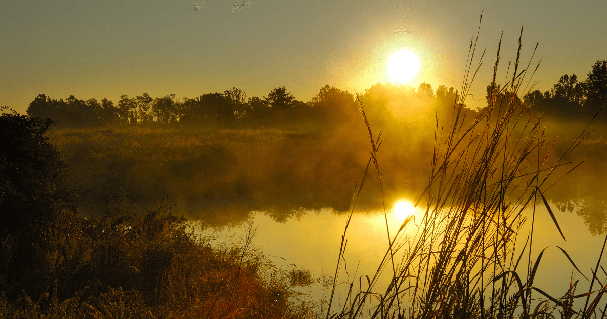 14 Parks Near Woodbridge, VA